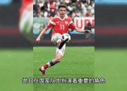 爱游戏app介绍-瑞士队斩获关键胜利，赢得晋级机会的简单介绍
