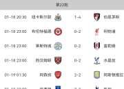 爱游戏-英格兰主场告捷，领跑积分榜的简单介绍