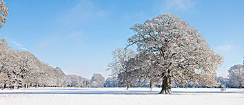 欧联杯赛即将重启！强强对决引人期待