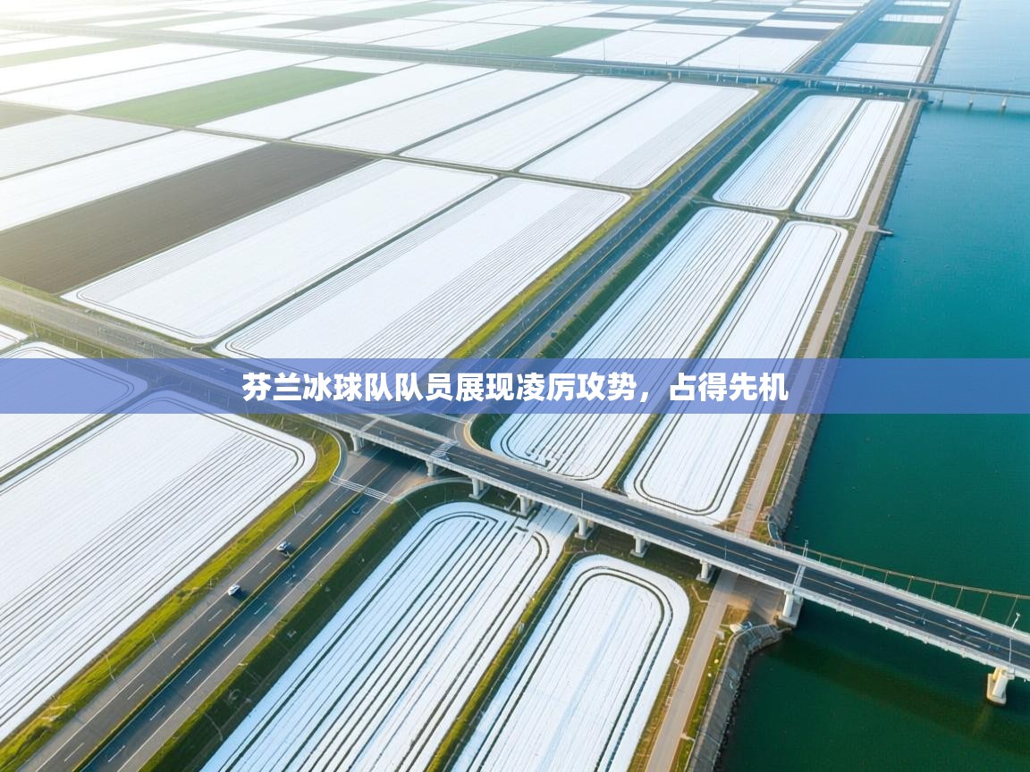 芬兰冰球队队员展现凌厉攻势，占得先机  第1张