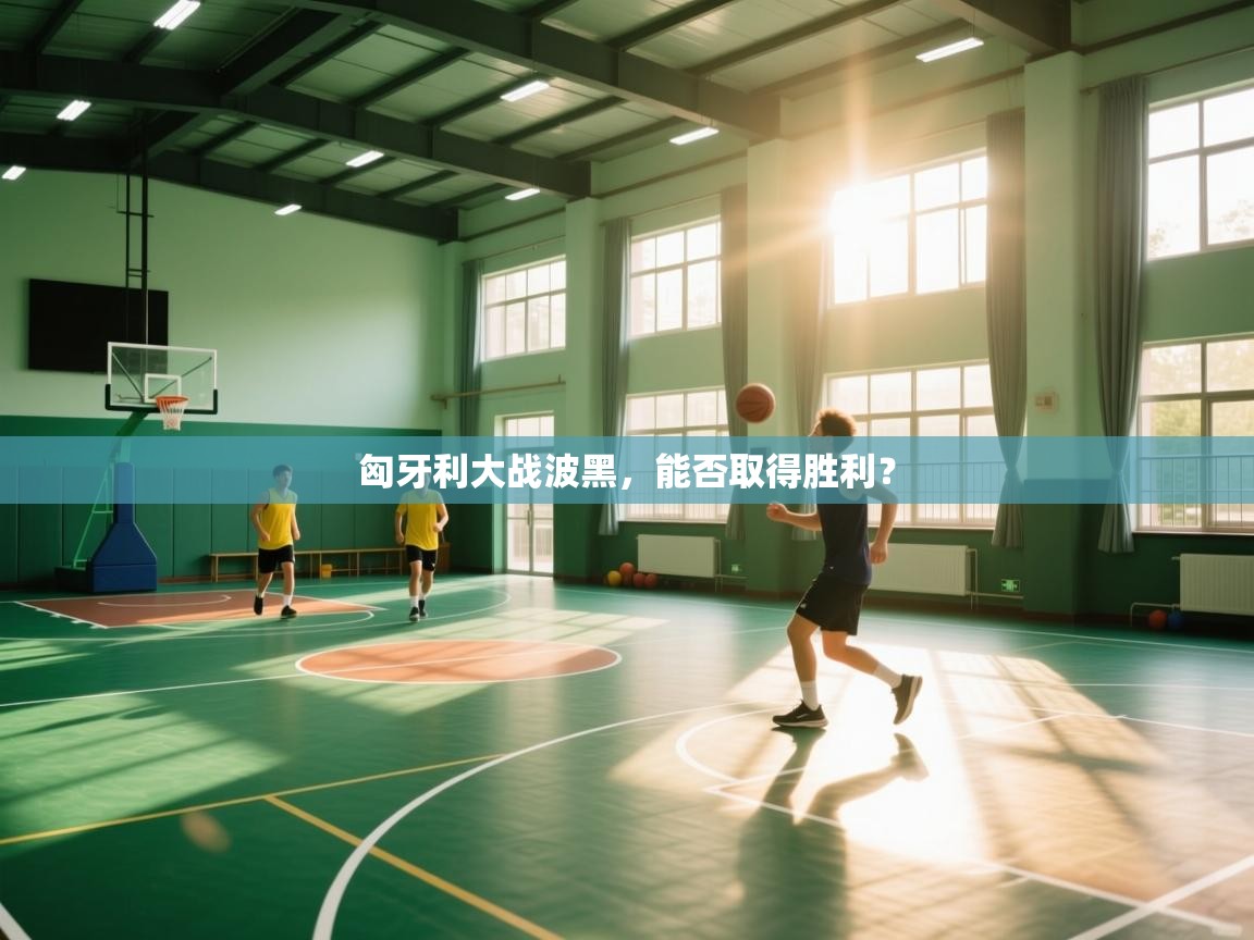 匈牙利大战波黑，能否取得胜利？  第1张